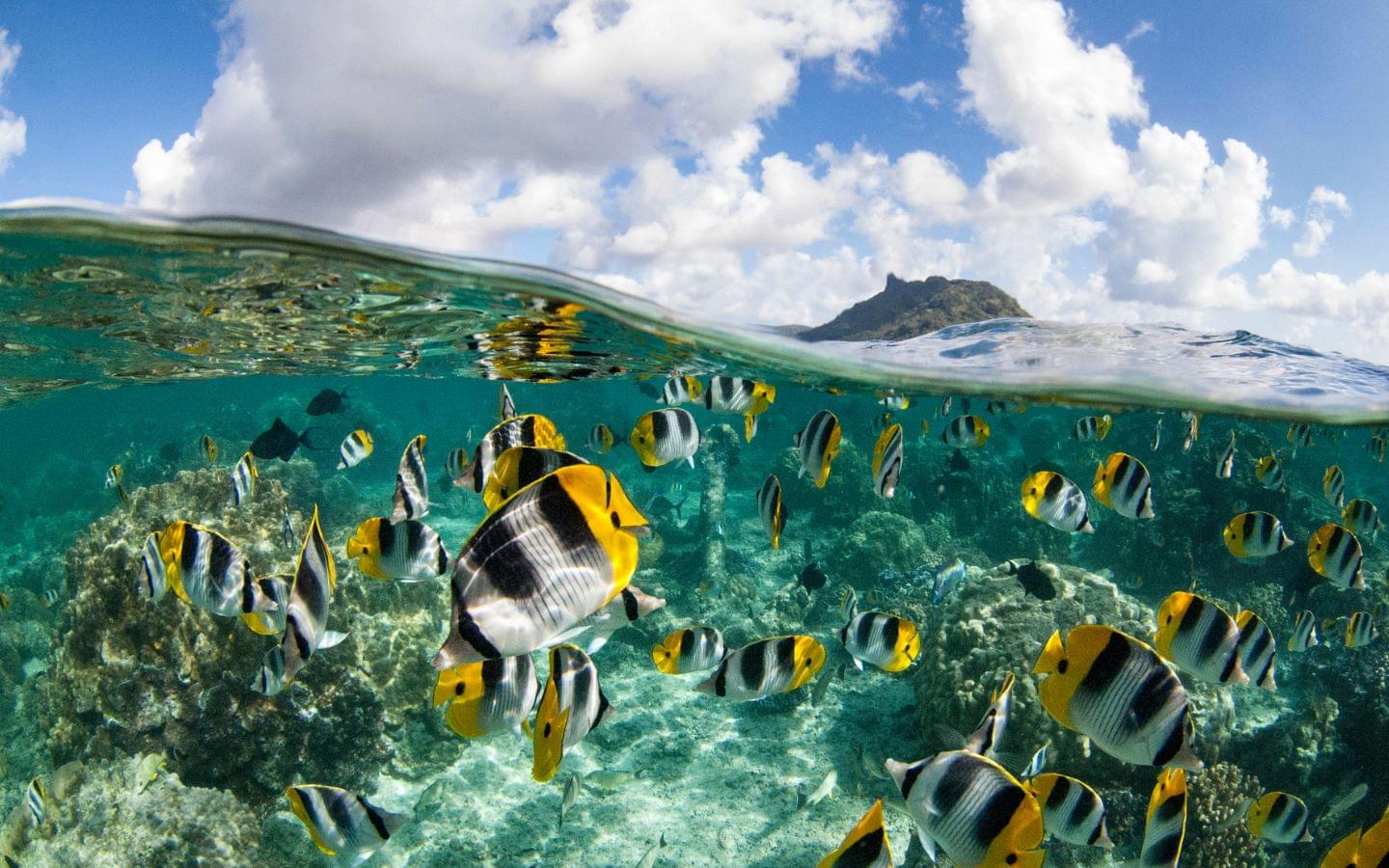 The best snorkeling spots in the world (2023)