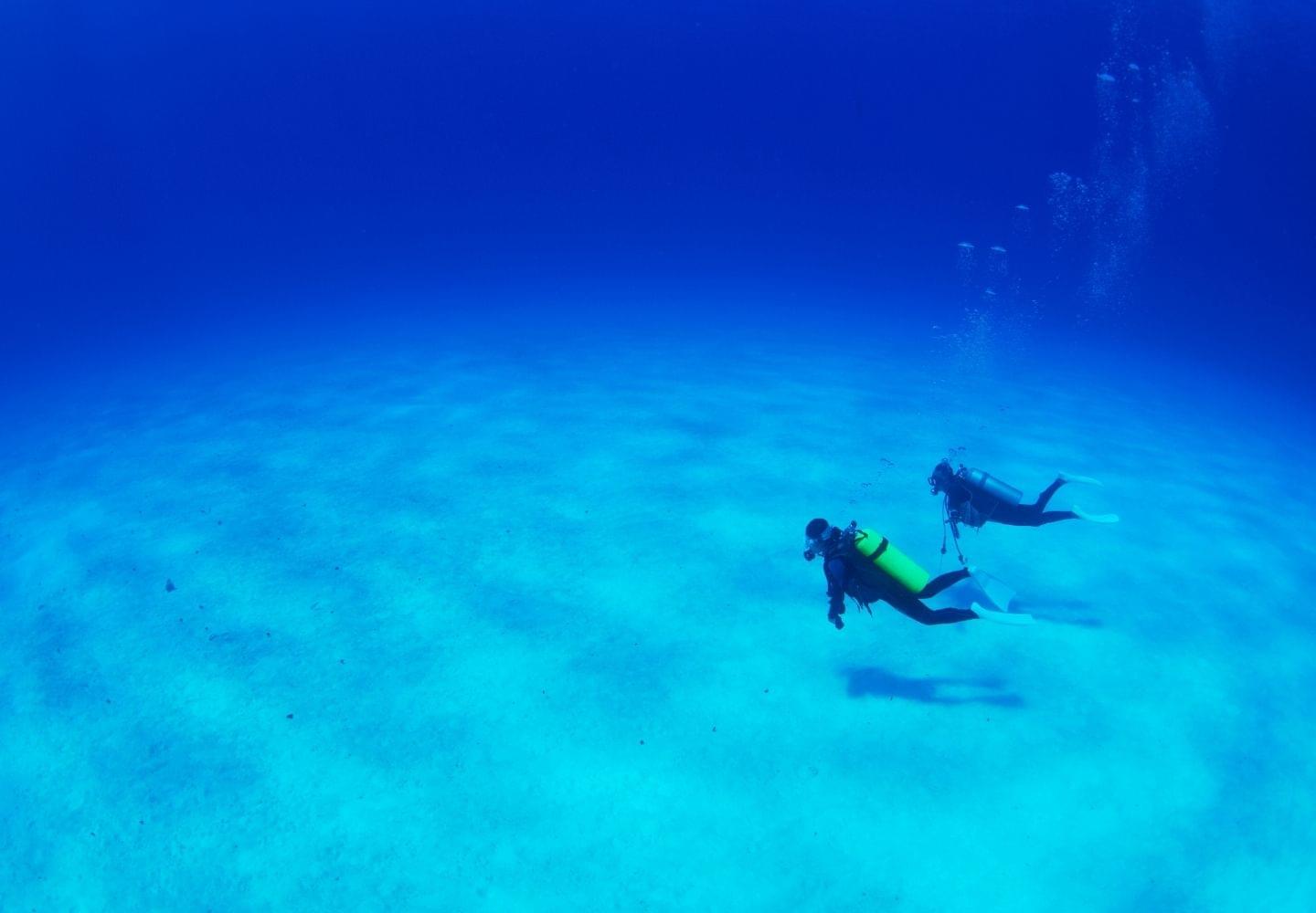 two divers on sandy bottom