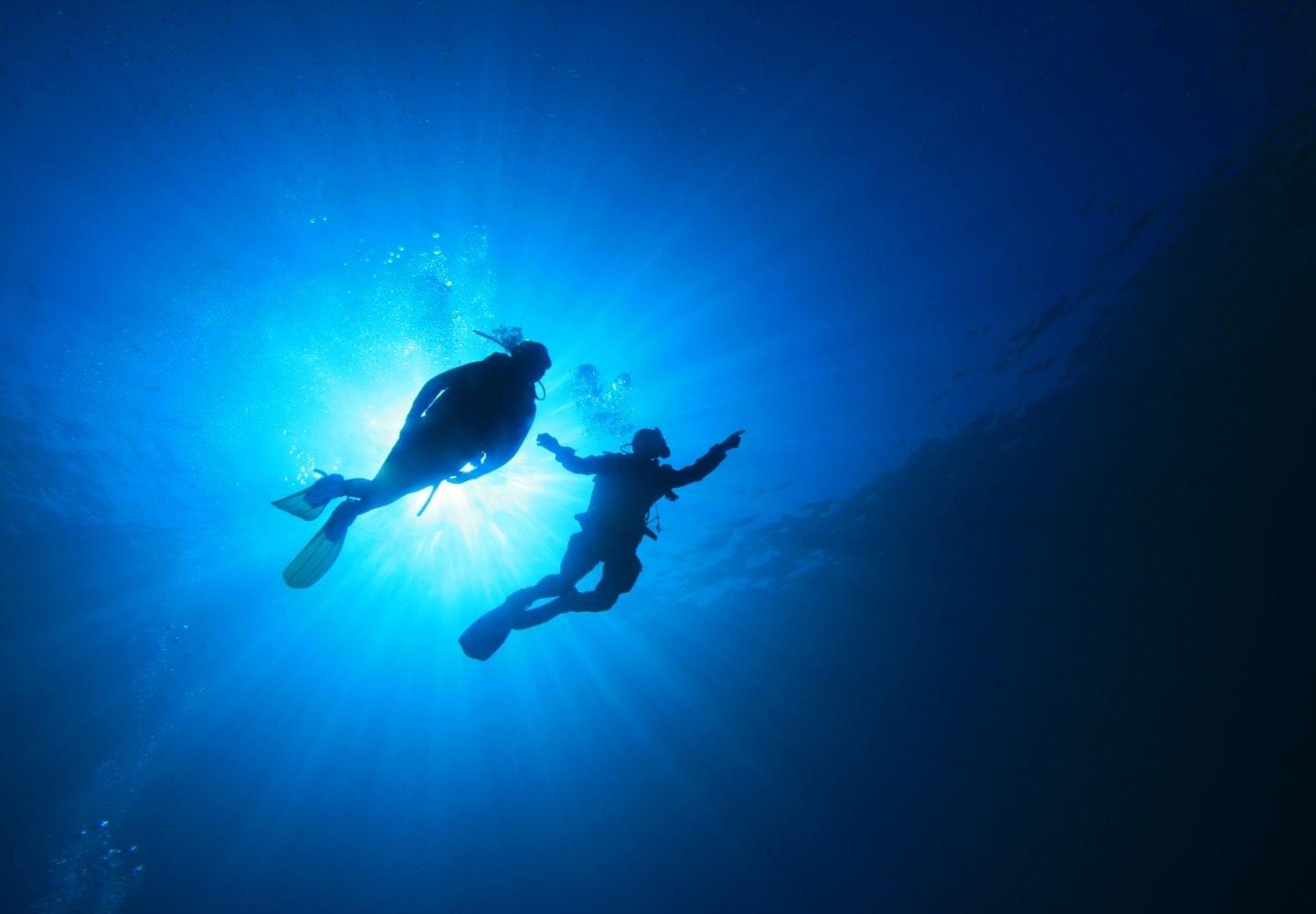 two scuba divers together near surface
