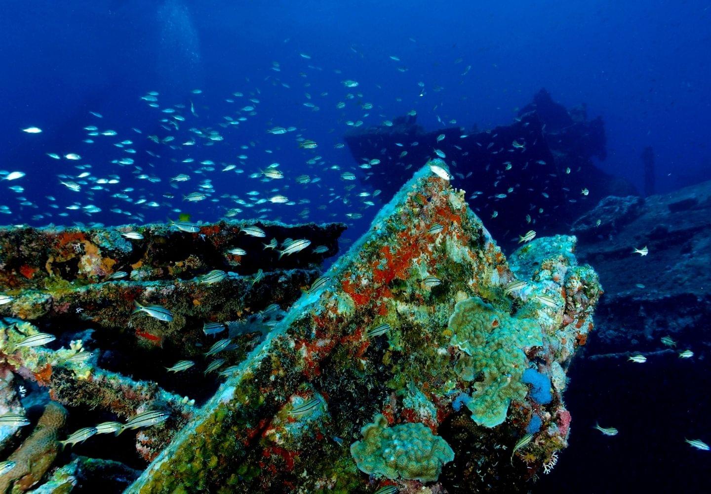 Antilla shipwreck underwater view in aruba