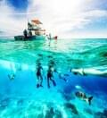 caribbean dive boat med undervattensdykare tropical