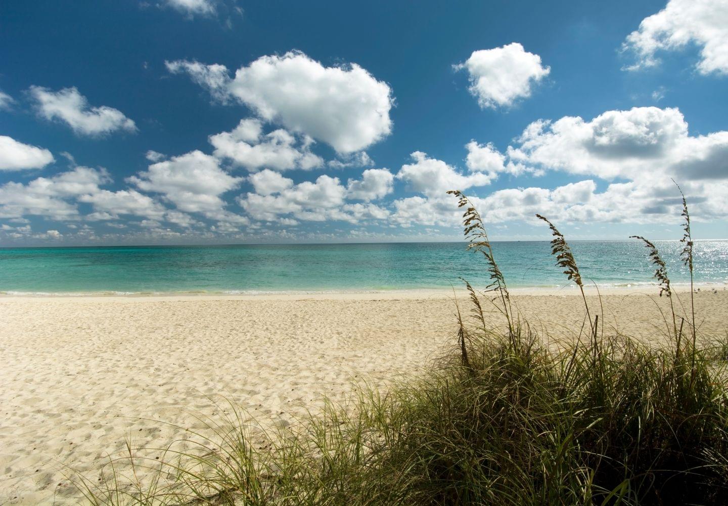 freeport beach grand bahama island