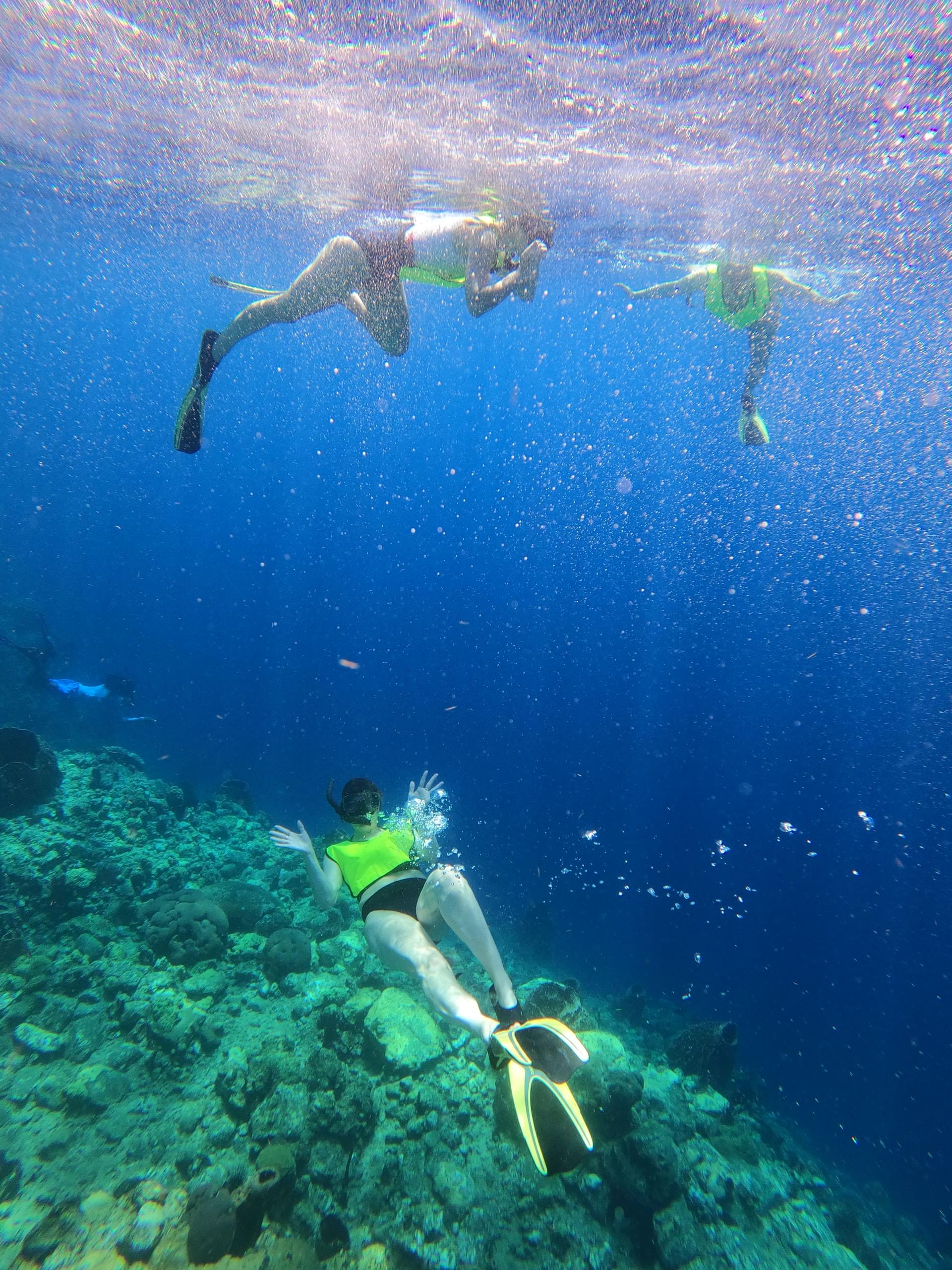 reefs in soufriere bay