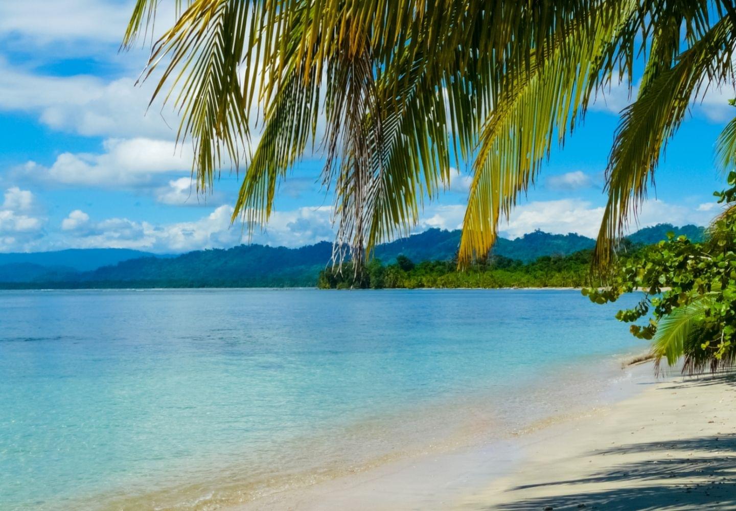 beach at chuita national park in costa rica