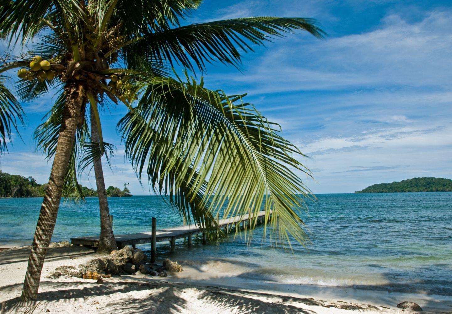 dock and beach in bocas del toro panama