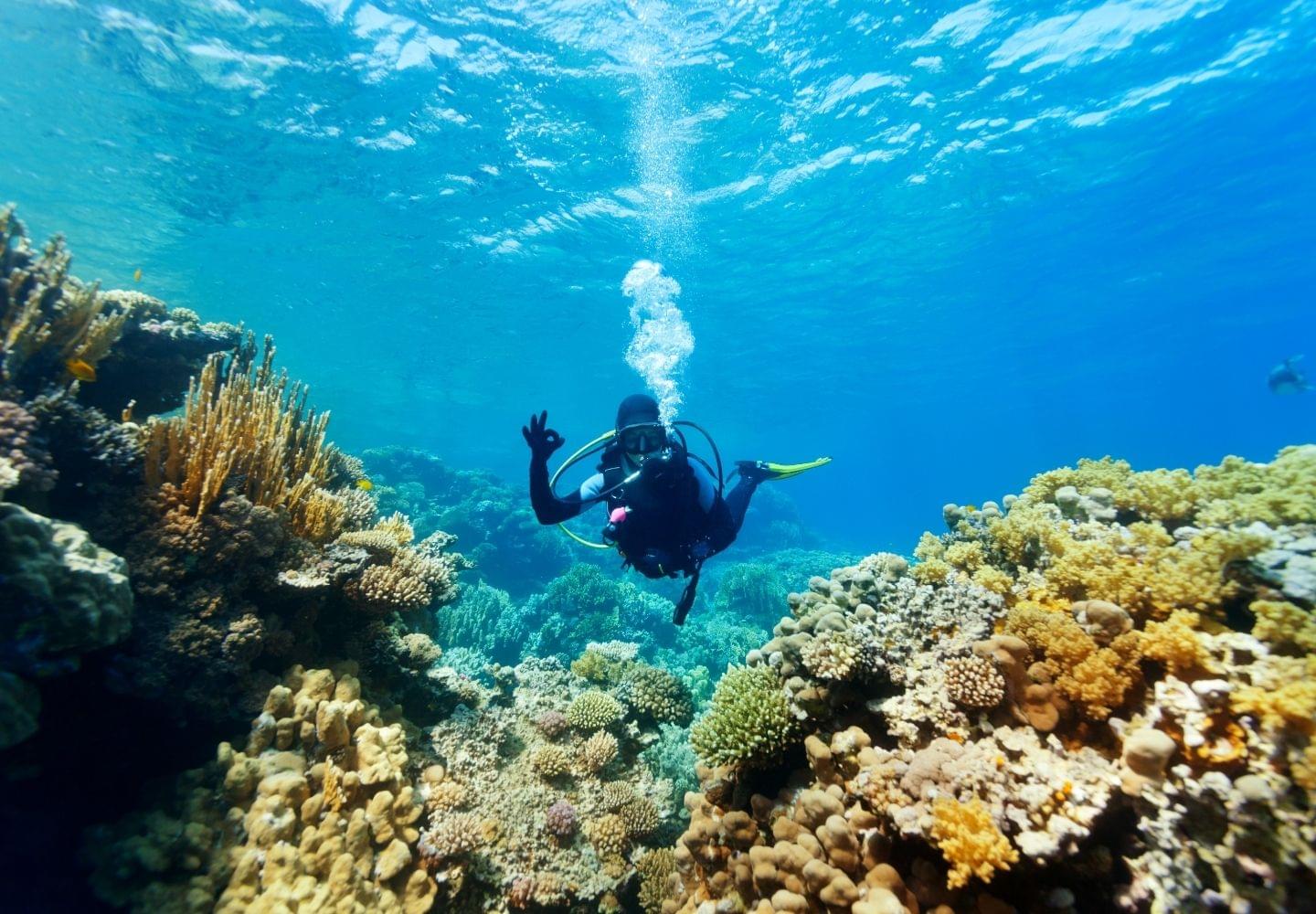 diver on tropical coral giving okay signal