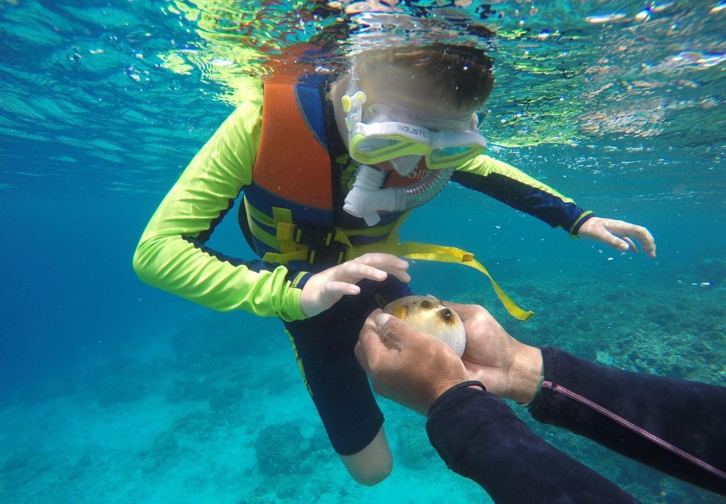 kid snorkeling with life jacket on