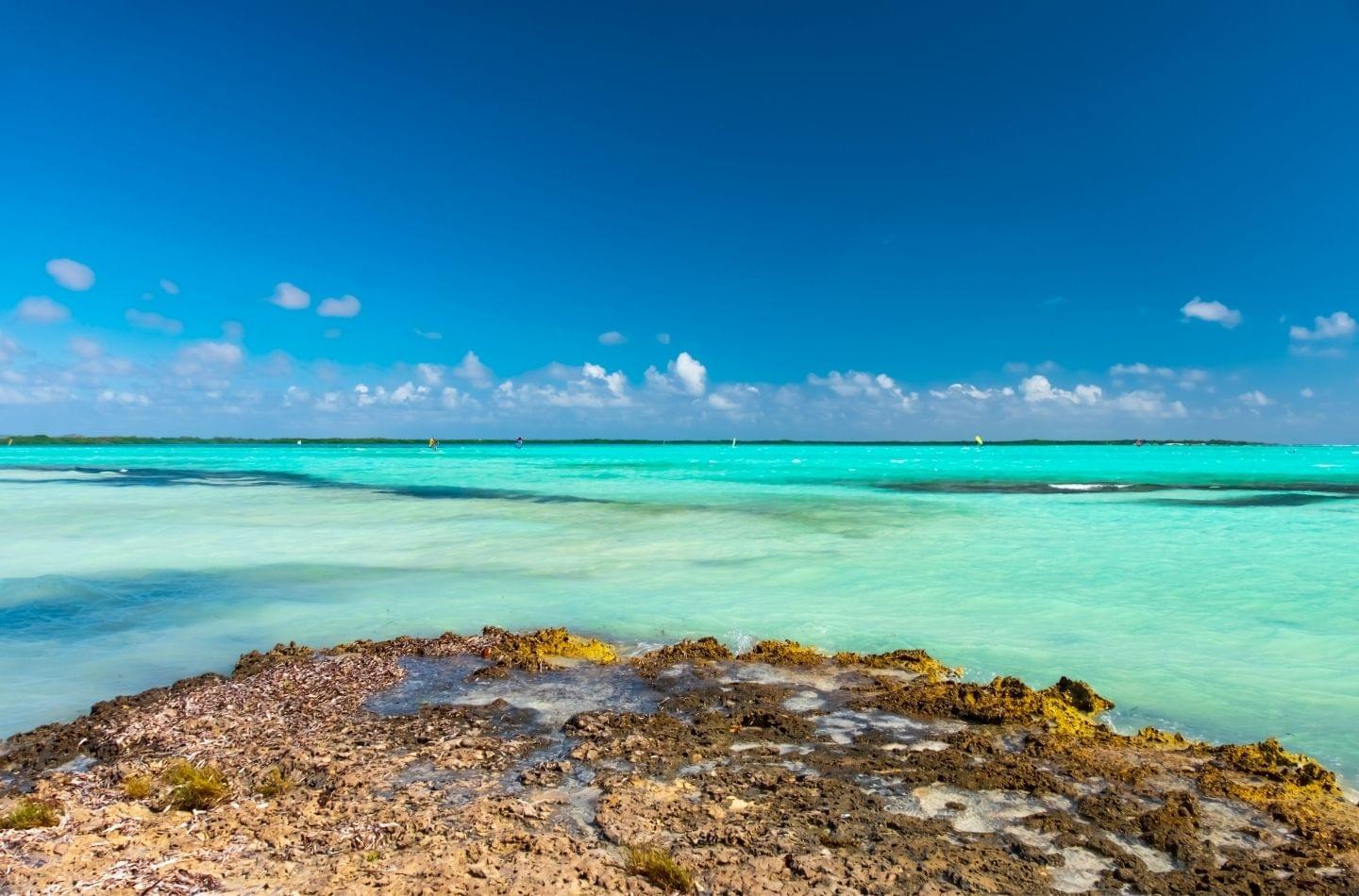 lac bay bonaire