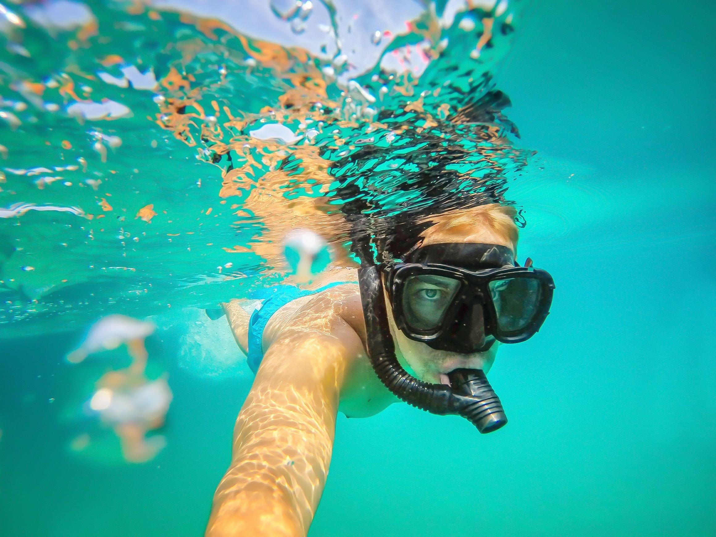 snorkeling on the surface semi-dry snorkel