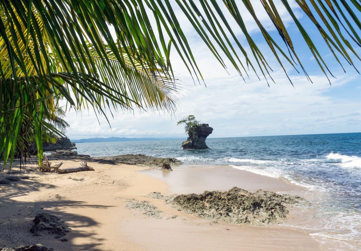 remote beach at gandoca manzanillo wildlife refuge costa rica