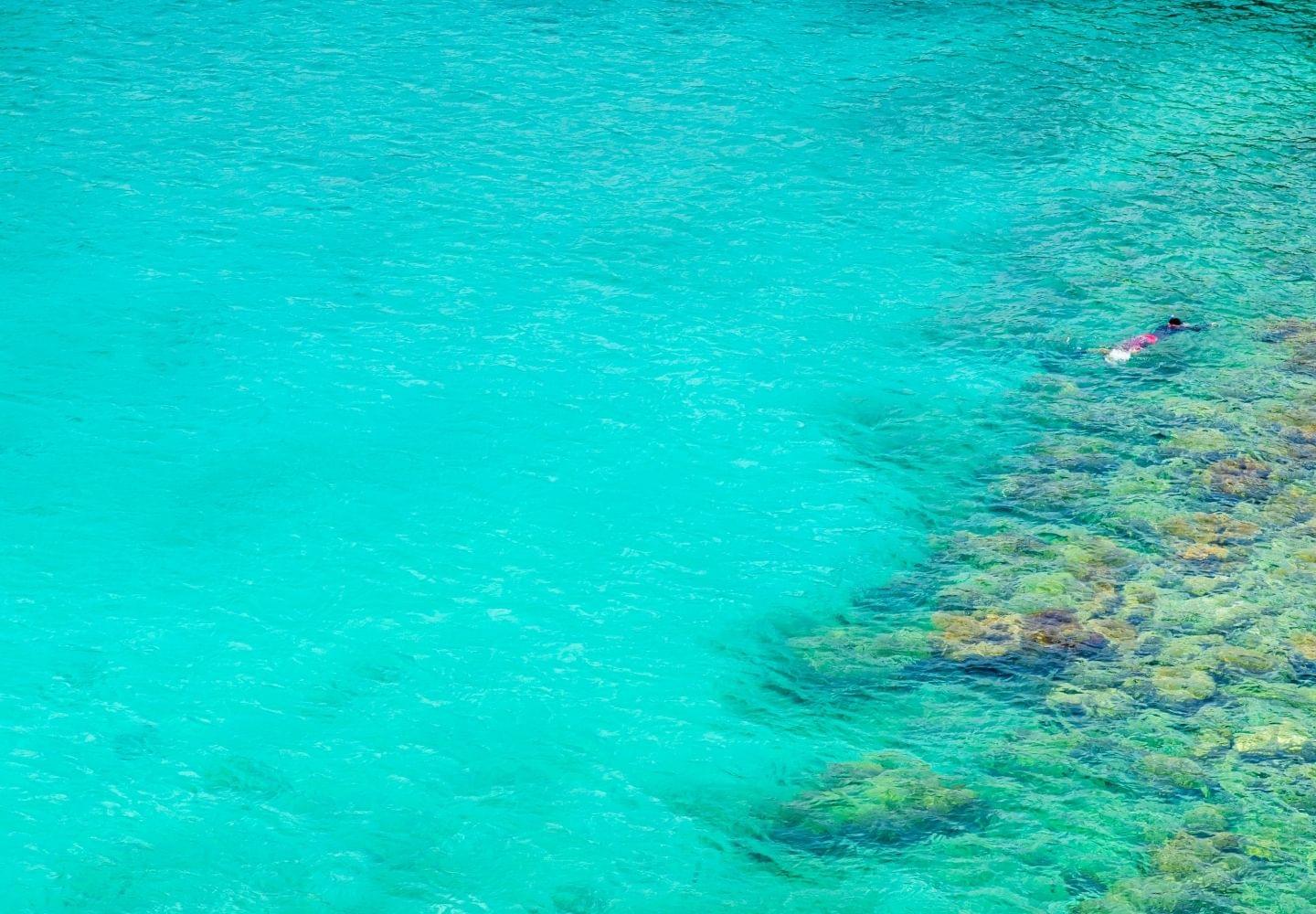 snorkeling in caracas bay curacao