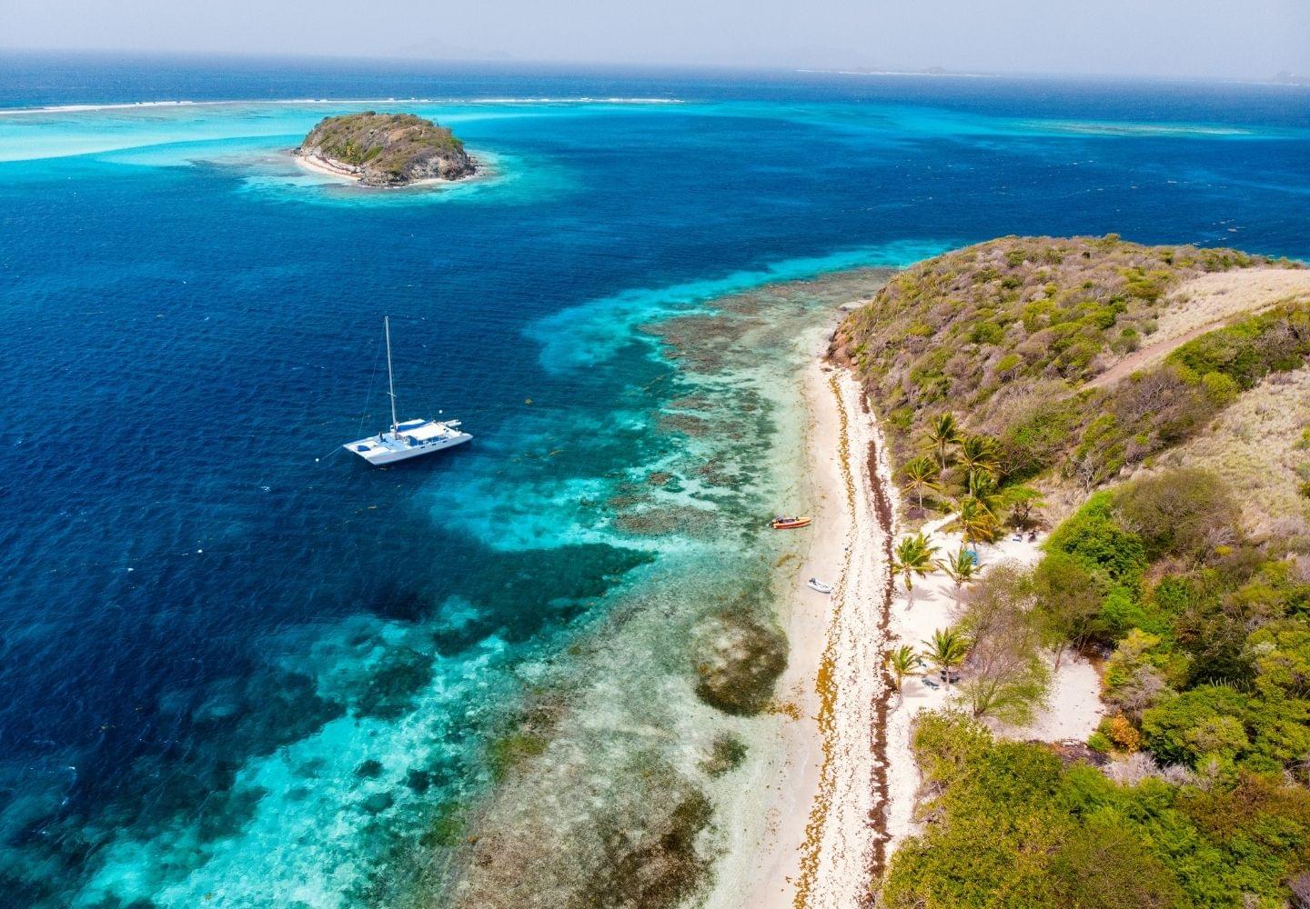 coral reef off tabago cays st vincent and grenadines