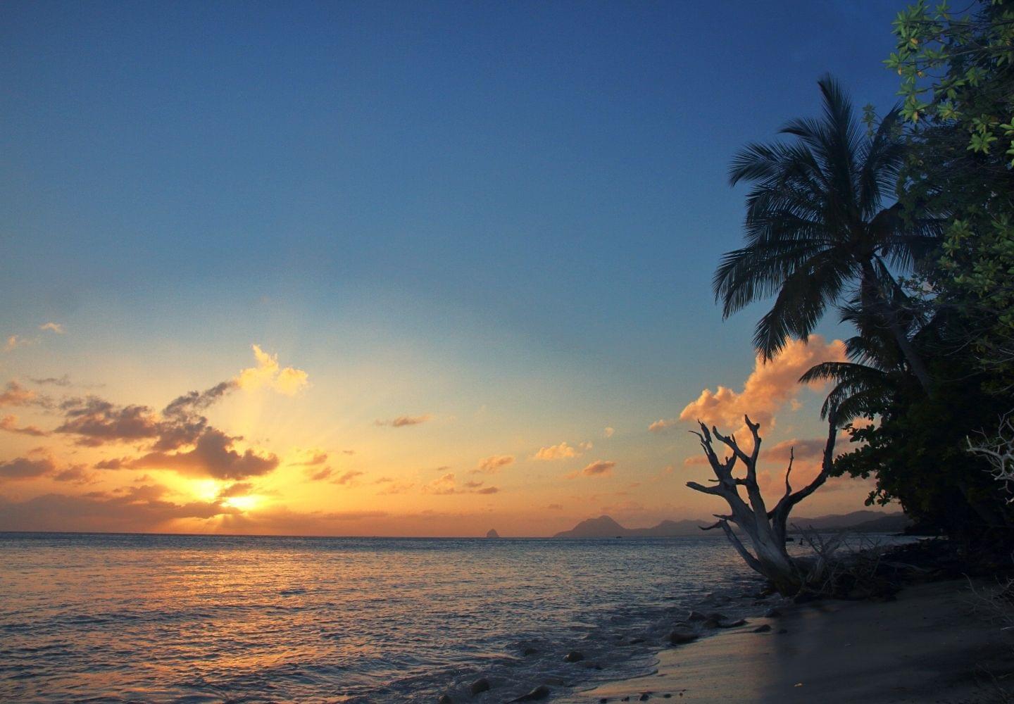 sunset at pointe borgnese