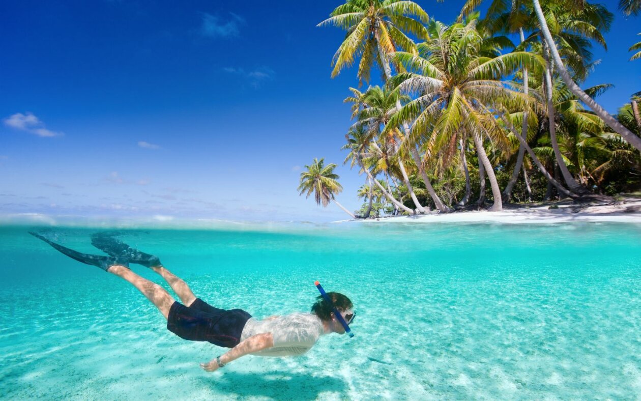 The best snorkeling in St. Lucia | OutsiderView