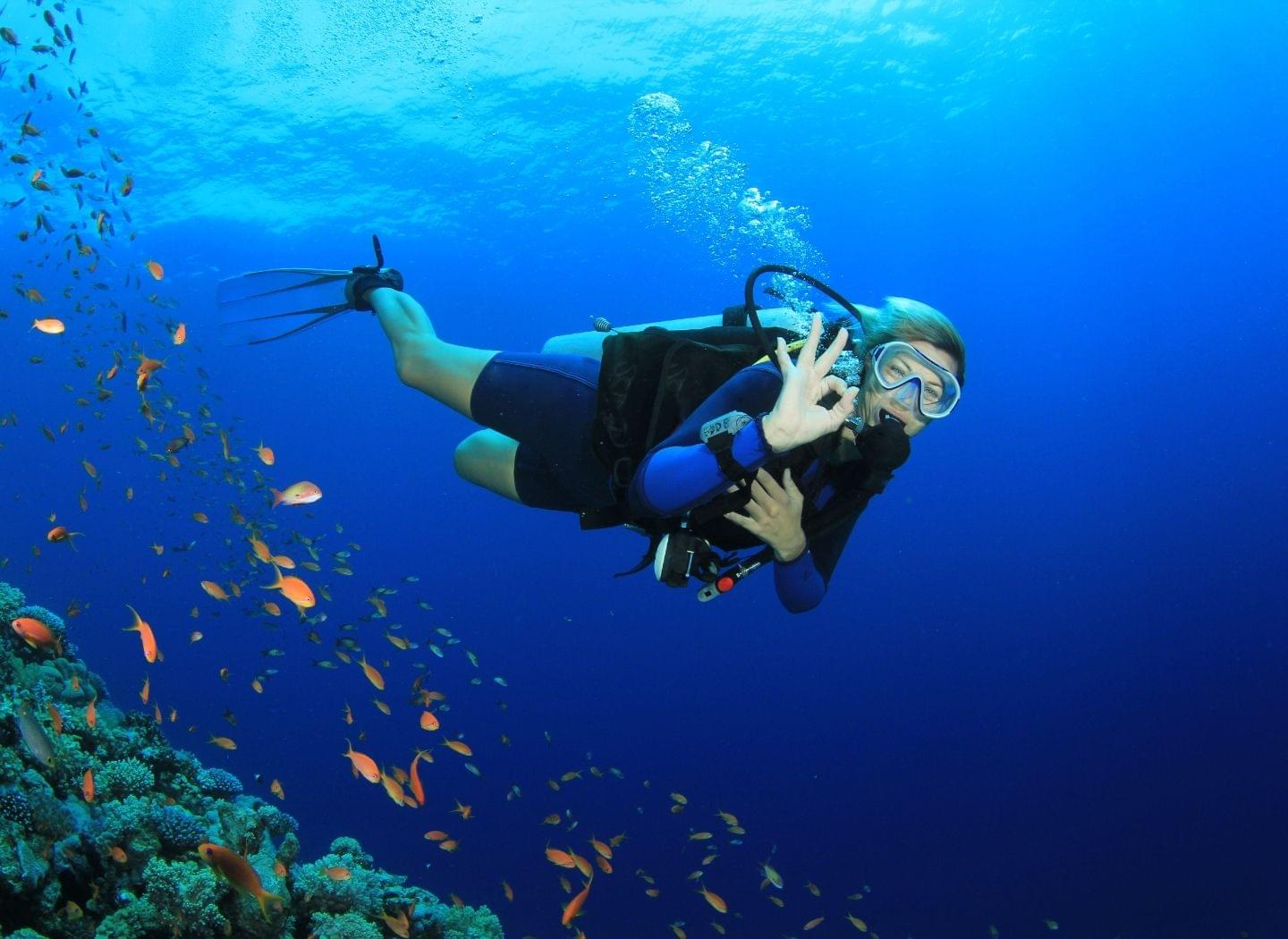 Snorkeling vs. scuba diving: How are they different?