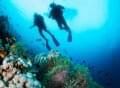 two scuba divers diving together
